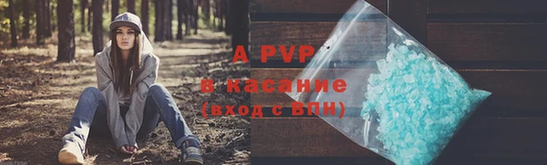прущие грибы Балабаново