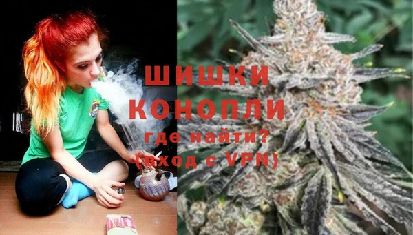 прущие грибы Балабаново