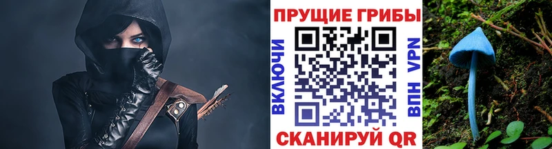 закладка  Бирск  Псилоцибиновые грибы Psilocybine cubensis 